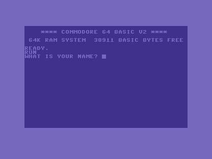 The C64 screen showing WHAT IS YOUR NAME? with the cursor waiting.