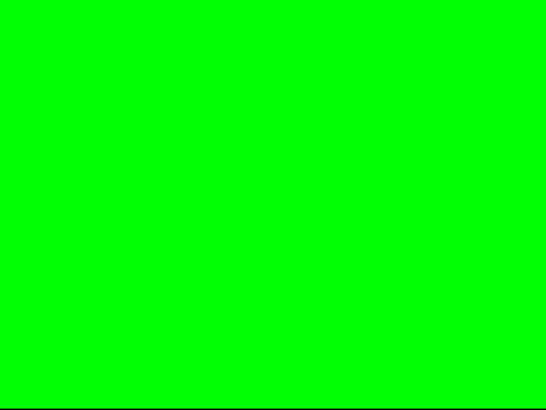 The Amiga screen filled with solid green.