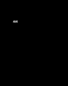 VIC-20 native output with both shared cells showing the replacement pattern