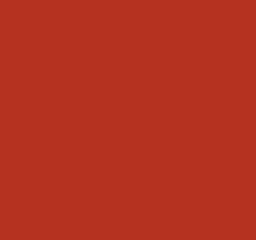 The NES screen filled edge to edge with solid red.