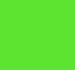 The NES screen filled with solid green.
