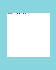 VIC-20 remains at 0001 00 01 after the deadline: one turn, no automatic expiry and a stale active flag.